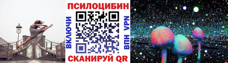 Галлюциногенные грибы Psilocybine cubensis  как найти   Новоуральск 